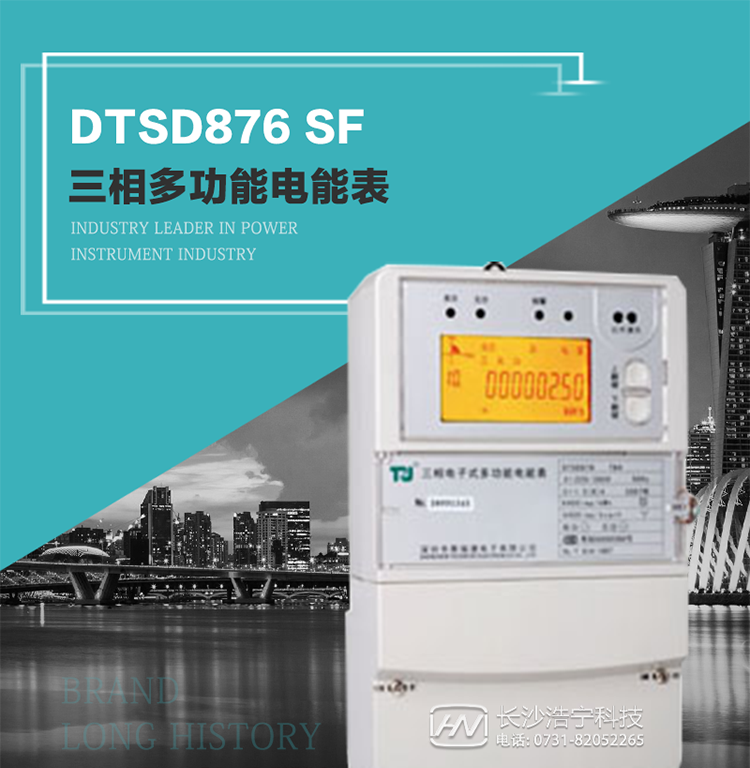 產品型號：DTSD876 SF型 三相多功能電能表
精度等級：有功0.5級 1級；無功2級 
額定電壓： 3×100V 3×57.7/100V 3×220/380V 
額定電流： 1.5(6)A 5(20)A 10(40)A 15(60)A 20(80)A 30(100)A 
頻 率： -40℃～+70℃ 
工作溫度：≤0.5S 
顯示方式： ≥1000mAh 
整機功耗： ≥10年 
重量： 約2.4kg 
外形尺寸： 293mm×175mm×80mm